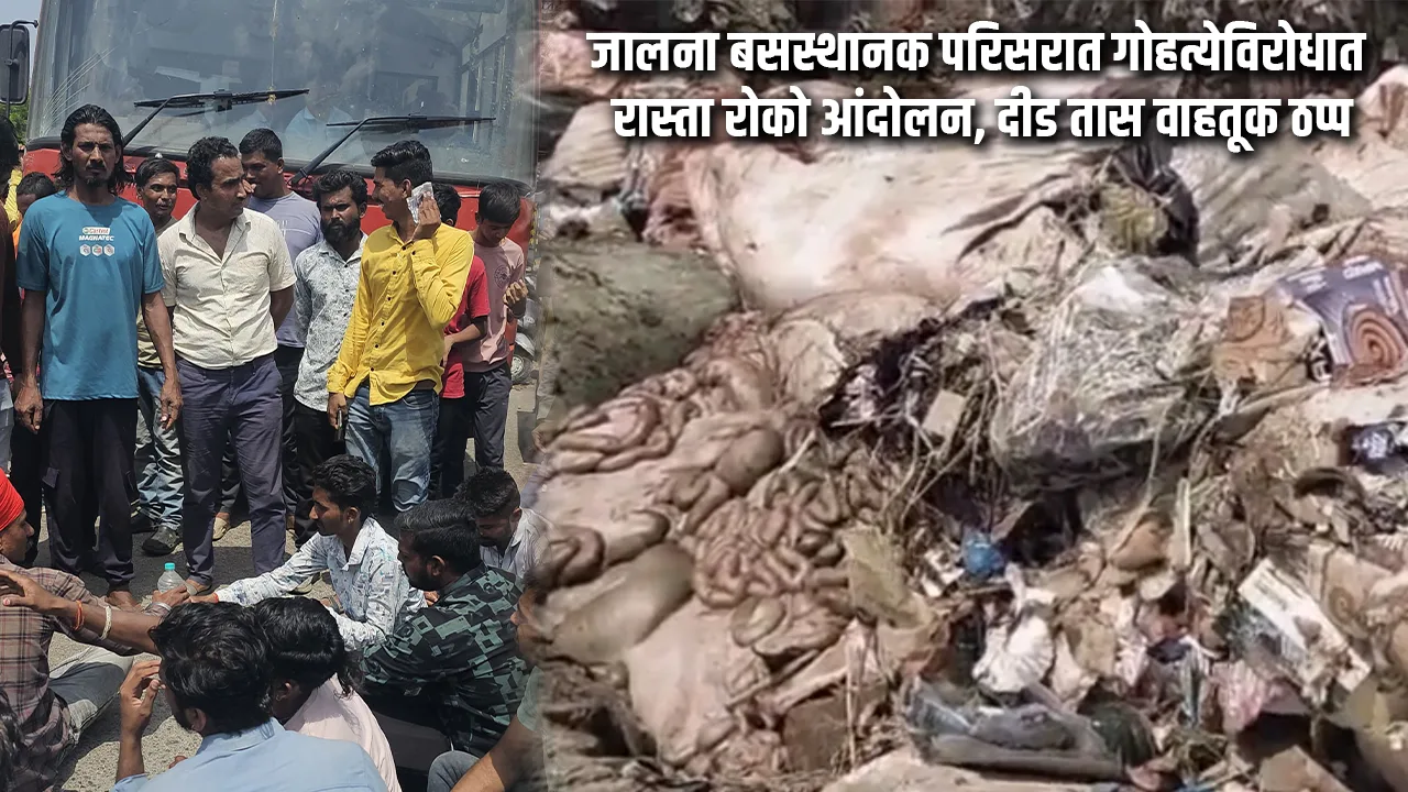 Cow Slaughter Protest